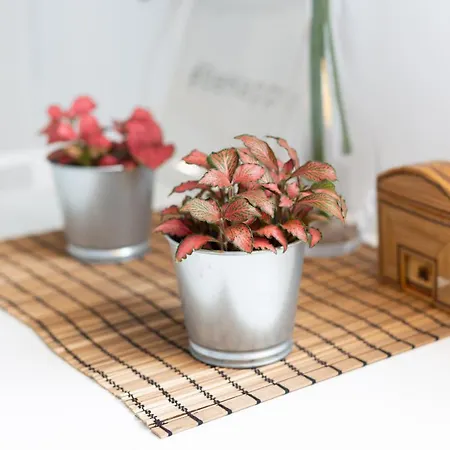 Дом отдыха Palm Mar With Pool And Garden Арона