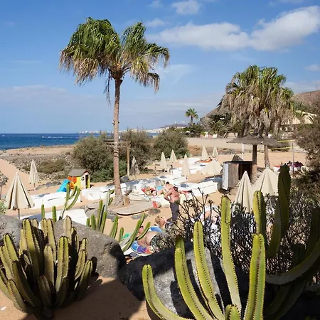 Palm Mar With Pool And Garden *