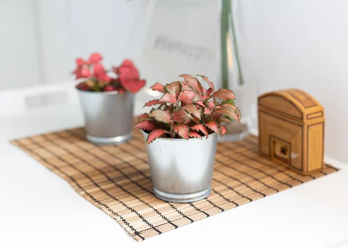 بيت للعطل Palm Mar With Pool And Garden أرونا